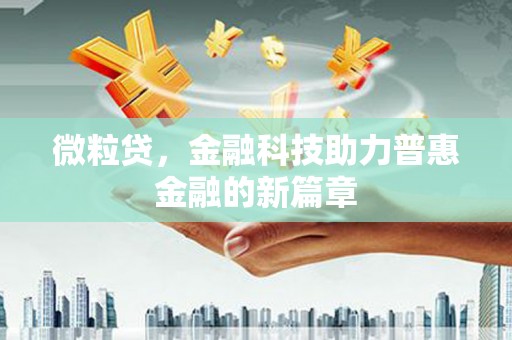 启东微粒贷，金融科技助力普惠金融的新篇章
