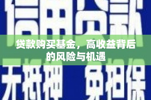 民丰贷款购买基金，高收益背后的风险与机遇