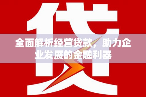 山海关全面解析经营贷款，助力企业发展的金融利器