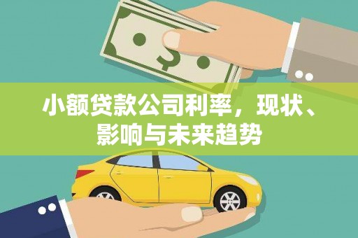 北关小额贷款公司利率，现状、影响与未来趋势