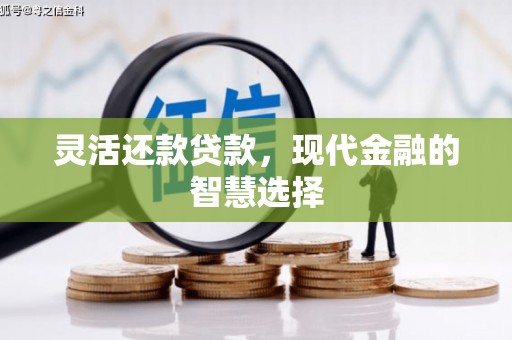 定陶灵活还款贷款，现代金融的智慧选择