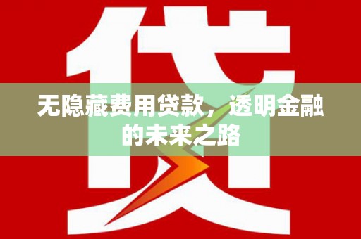 三角无隐藏费用贷款，透明金融的未来之路