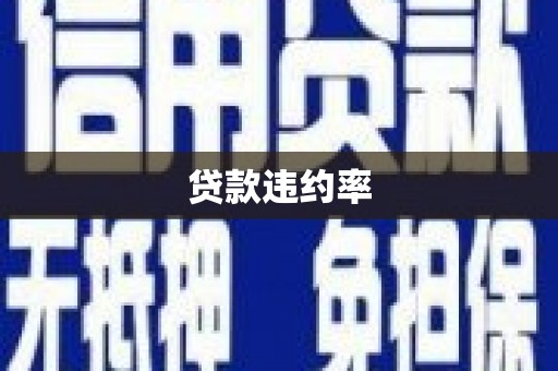 蚌埠贷款违约率