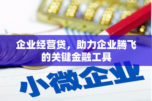 海原企业经营贷，助力企业腾飞的关键金融工具