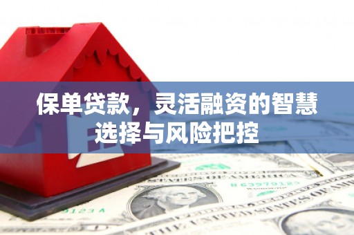 石城保单贷款，灵活融资的智慧选择与风险把控