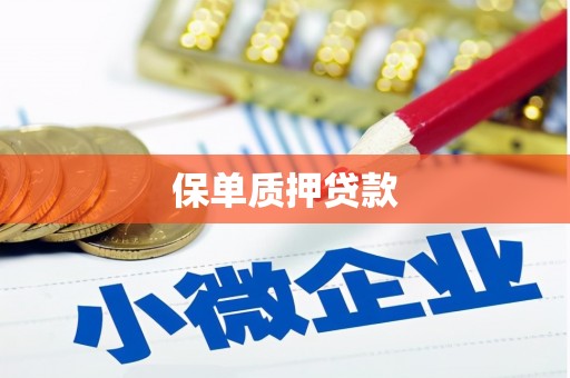 叶县保单质押贷款