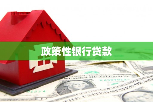 海晏政策性银行贷款
