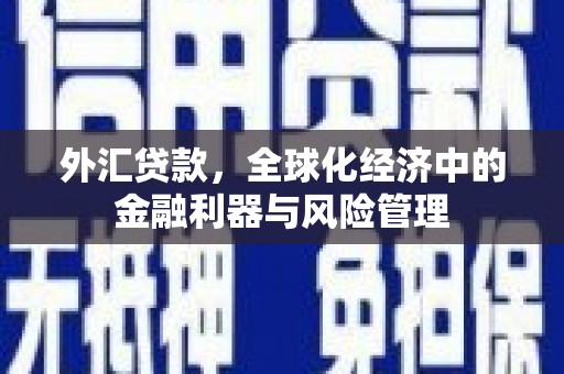 昭平外汇贷款，全球化经济中的金融利器与风险管理
