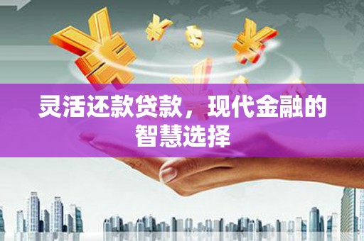 雁塔灵活还款贷款，现代金融的智慧选择
