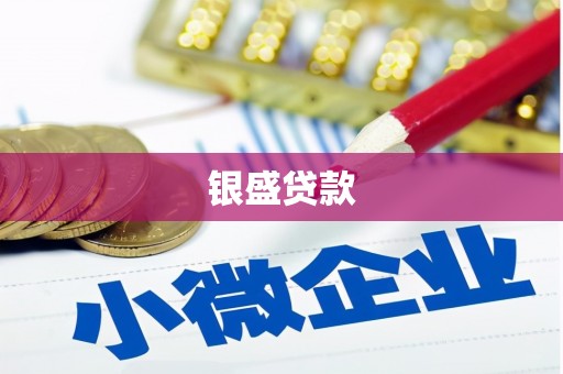 双城银盛贷款