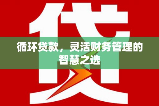 代县循环贷款，灵活财务管理的智慧之选