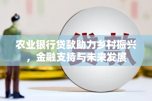 扶绥农业银行贷款助力乡村振兴，金融支持与未来发展