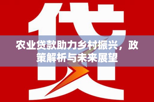 定安农业贷款助力乡村振兴，政策解析与未来展望