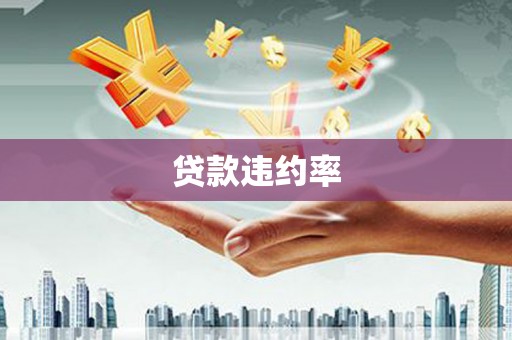 姚安贷款违约率