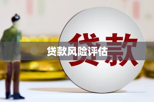 吐鲁番贷款风险评估