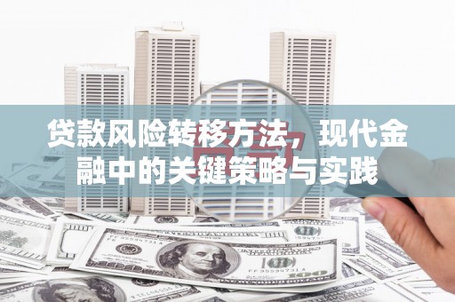 横山贷款风险转移方法，现代金融中的关键策略与实践