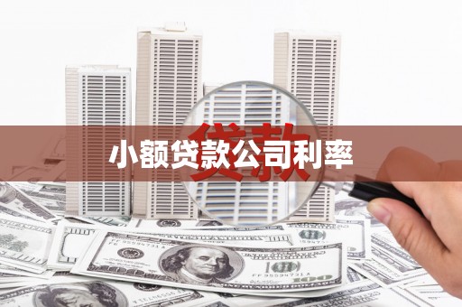 大甲小额贷款公司利率