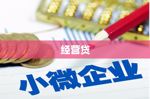 定海经营贷