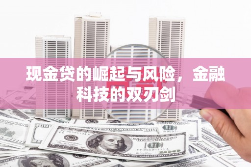 灵山现金贷的崛起与风险，金融科技的双刃剑