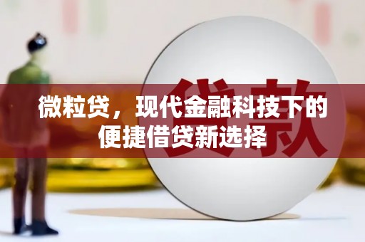长岭微粒贷，现代金融科技下的便捷借贷新选择