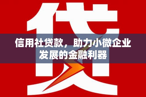 德保信用社贷款，助力小微企业发展的金融利器