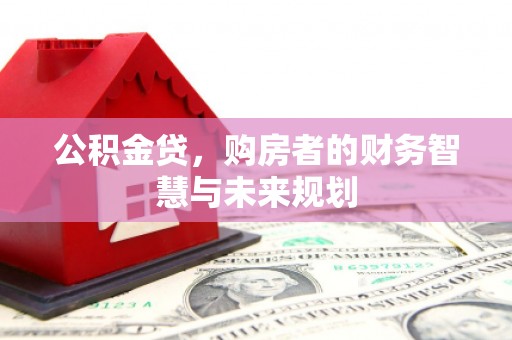 长兴公积金贷，购房者的财务智慧与未来规划