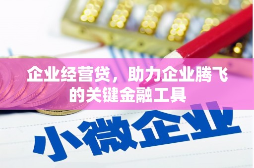 沧源企业经营贷，助力企业腾飞的关键金融工具