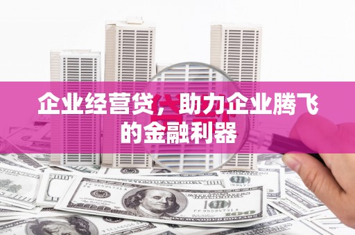 盐源企业经营贷，助力企业腾飞的金融利器