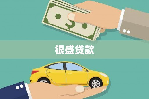 台儿庄银盛贷款