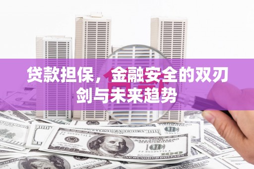 金阳贷款担保，金融安全的双刃剑与未来趋势