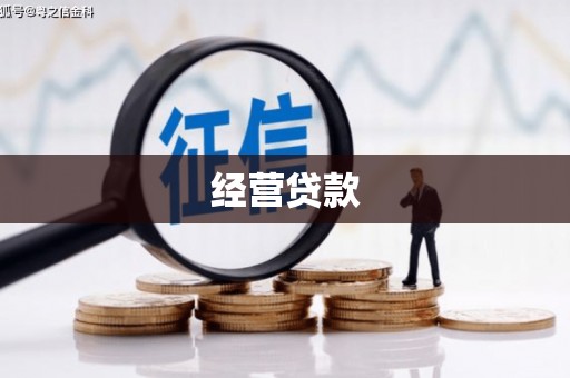 台西经营贷款