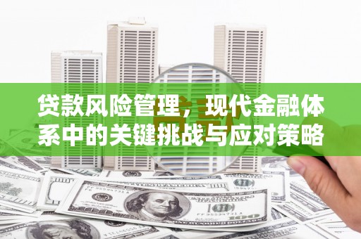 工布江达贷款风险管理，现代金融体系中的关键挑战与应对策略