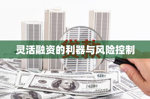 双清灵活融资的利器与风险控制