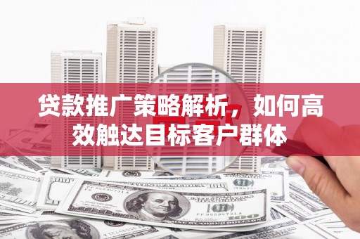 莱山贷款推广策略解析，如何高效触达目标客户群体