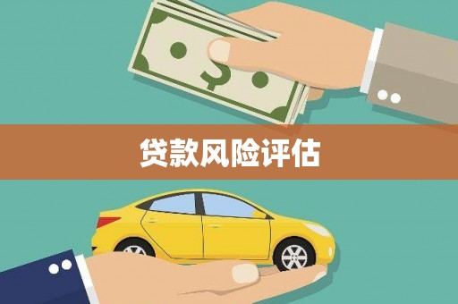 桃江贷款风险评估