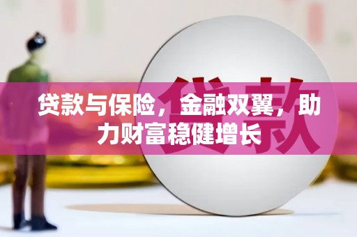 尖石贷款与保险，金融双翼，助力财富稳健增长