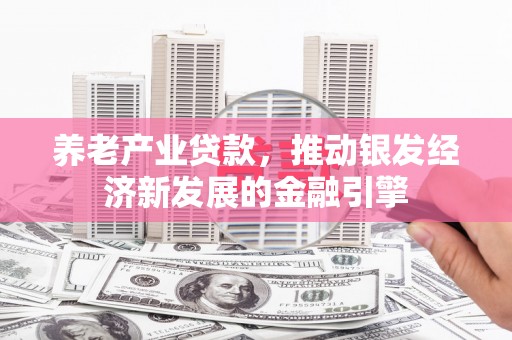 台西养老产业贷款，推动银发经济新发展的金融引擎