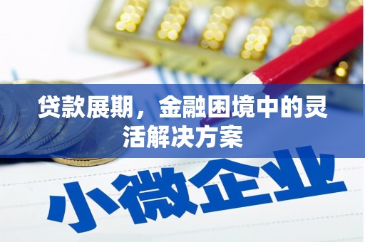宜章贷款展期，金融困境中的灵活解决方案