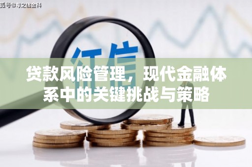 石家庄贷款风险管理，现代金融体系中的关键挑战与策略