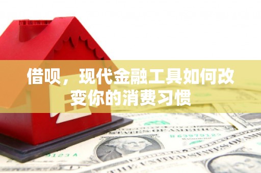 印台借呗，现代金融工具如何改变你的消费习惯