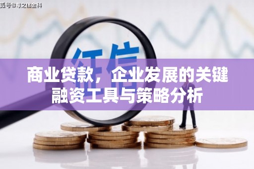 息县商业贷款，企业发展的关键融资工具与策略分析