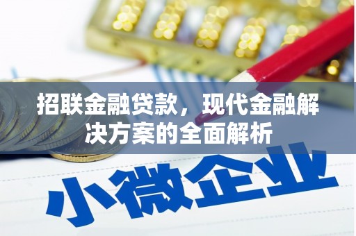 城东招联金融贷款，现代金融解决方案的全面解析