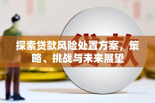 单县探索贷款风险处置方案，策略、挑战与未来展望
