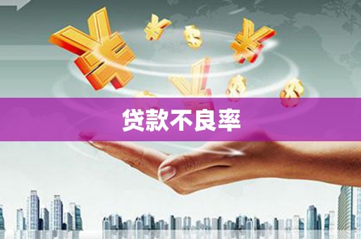 自贡贷款不良率