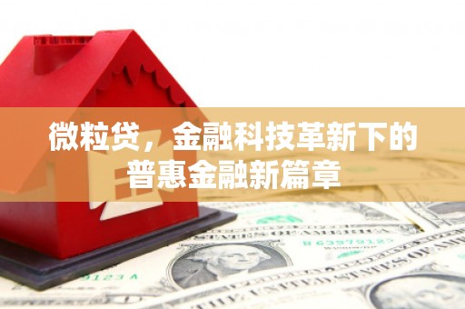 阿城微粒贷，金融科技革新下的普惠金融新篇章
