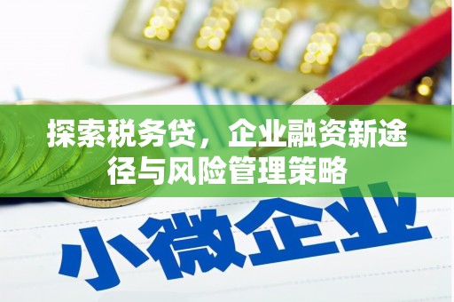 绥中探索税务贷，企业融资新途径与风险管理策略