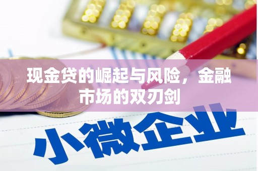 临安现金贷的崛起与风险，金融市场的双刃剑