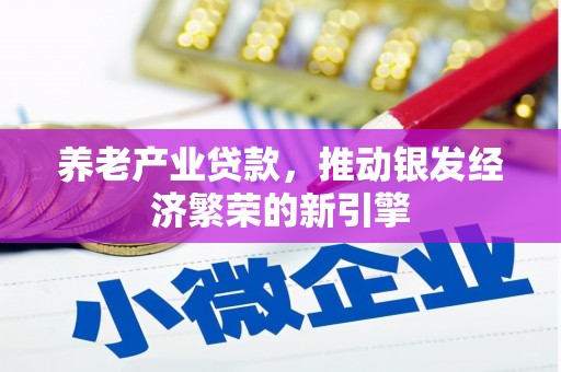 西平养老产业贷款，推动银发经济繁荣的新引擎