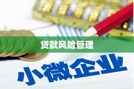 紫阳贷款风险管理