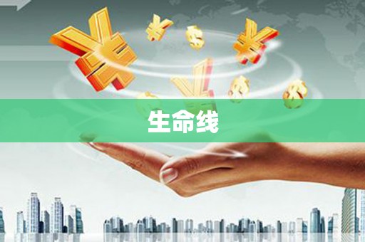 谢家集生命线
